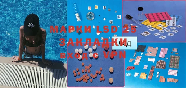 крисы Аркадак
