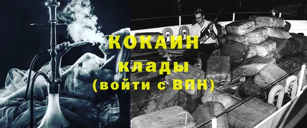 крисы Аркадак
