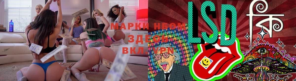 крисы Аркадак