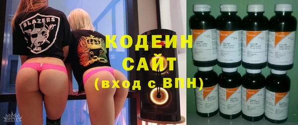 крисы Армянск
