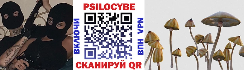 Псилоцибиновые грибы Cubensis Бодайбо