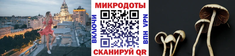 закладки  Бодайбо  Галлюциногенные грибы ЛСД 